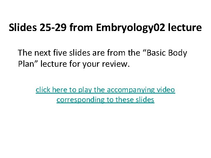 Slides 25 -29 from Embryology 02 lecture The next five slides are from the