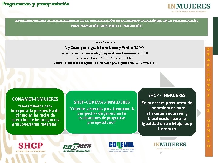 Programación y presupuestación INSTRUMENTOS PARA EL FORTALECIMIENTO DE LA INCORPORACIÓN DE LA PERSPECTIVA DE