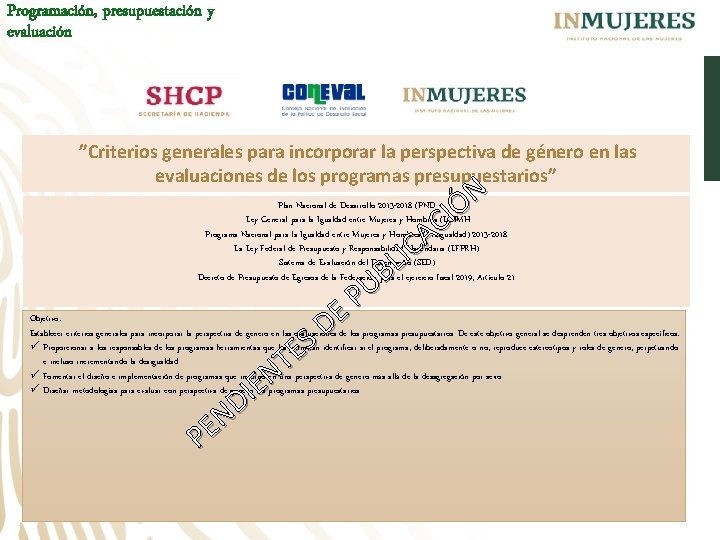 Programación, presupuestación y evaluación ”Criterios generales para incorporar la perspectiva de género en las