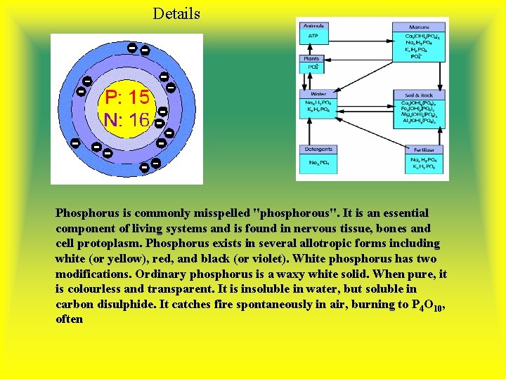 Details Phosphorus is commonly misspelled "phosphorous". It is an essential component of living systems