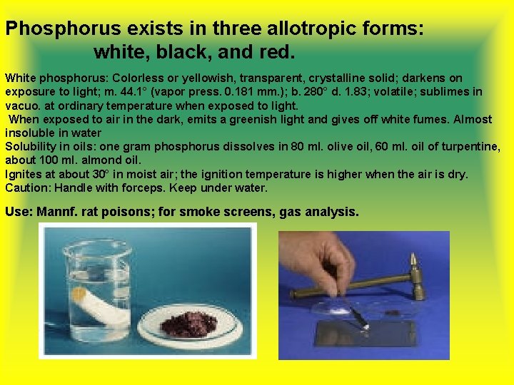 Phosphorus exists in three allotropic forms: white, black, and red. White phosphorus: Colorless or