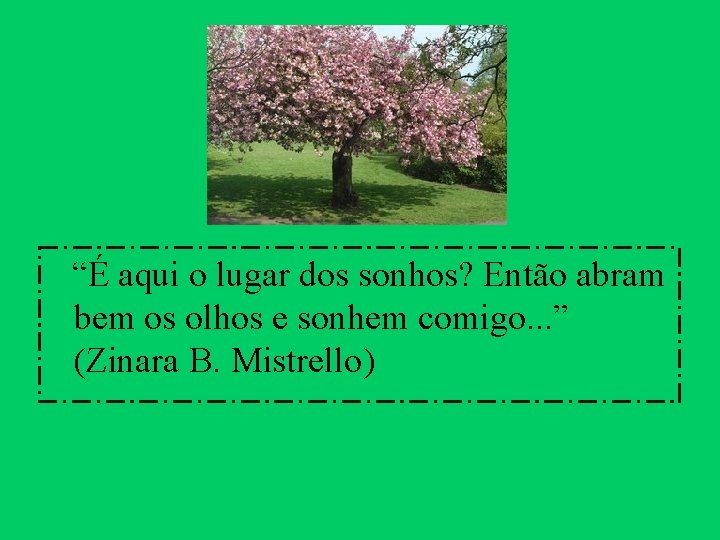 “É aqui o lugar dos sonhos? Então abram bem os olhos e sonhem comigo.