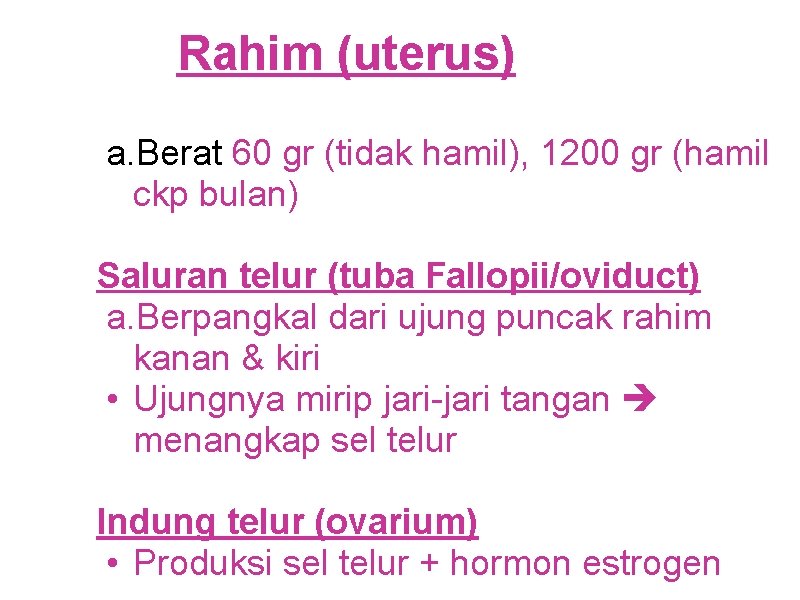 Rahim (uterus) a. Berat 60 gr (tidak hamil), 1200 gr (hamil ckp bulan) Saluran