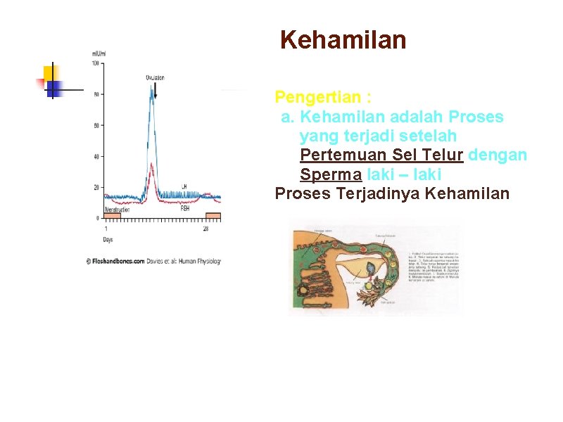 Kehamilan Pengertian : a. Kehamilan adalah Proses yang terjadi setelah Pertemuan Sel Telur dengan