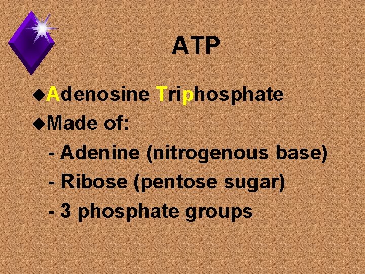ATP u. Adenosine u. Made Triphosphate of: - Adenine (nitrogenous base) - Ribose (pentose