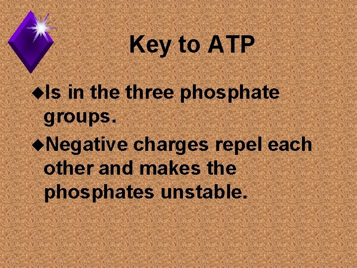 Key to ATP u. Is in the three phosphate groups. u. Negative charges repel