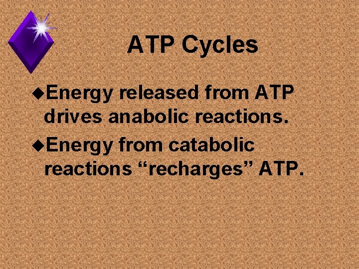 ATP Cycles u. Energy released from ATP drives anabolic reactions. u. Energy from catabolic