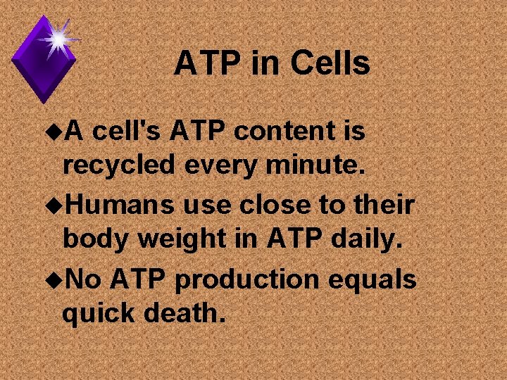 ATP in Cells u. A cell's ATP content is recycled every minute. u. Humans