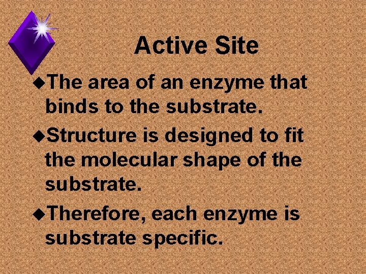 Active Site u. The area of an enzyme that binds to the substrate. u.