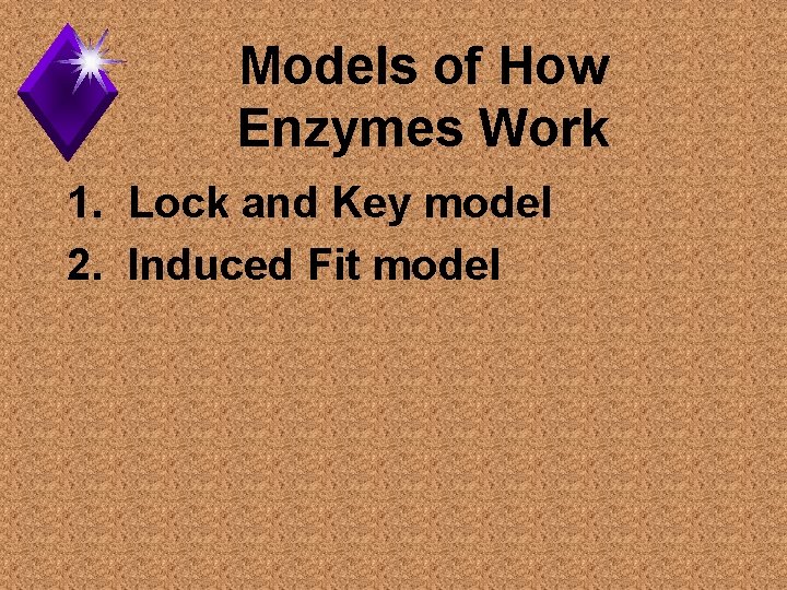 Models of How Enzymes Work 1. Lock and Key model 2. Induced Fit model