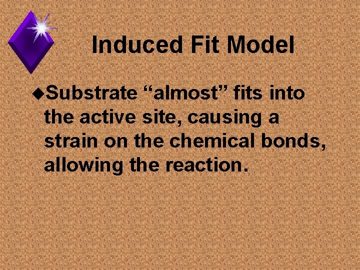 Induced Fit Model u. Substrate “almost” fits into the active site, causing a strain