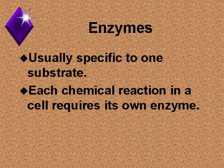 Enzymes u. Usually specific to one substrate. u. Each chemical reaction in a cell