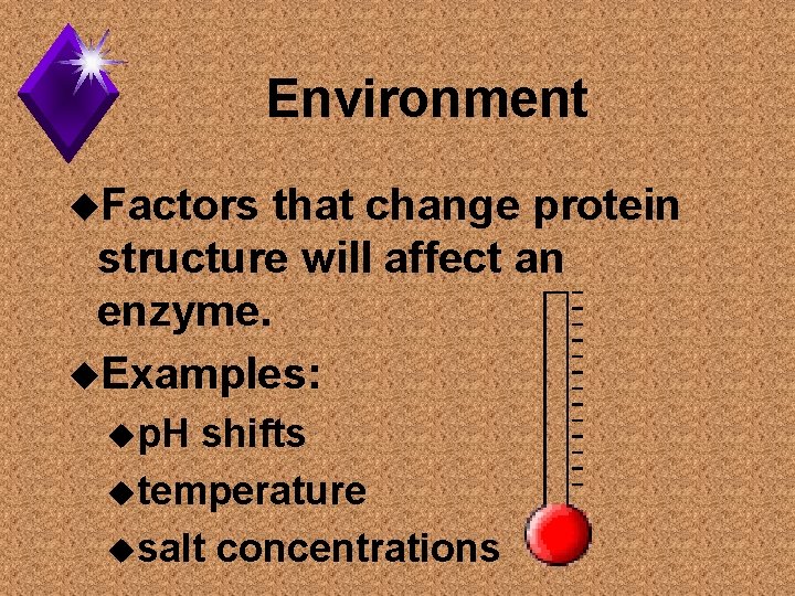 Environment u. Factors that change protein structure will affect an enzyme. u. Examples: up.