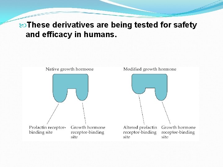  These derivatives are being tested for safety and efficacy in humans. 