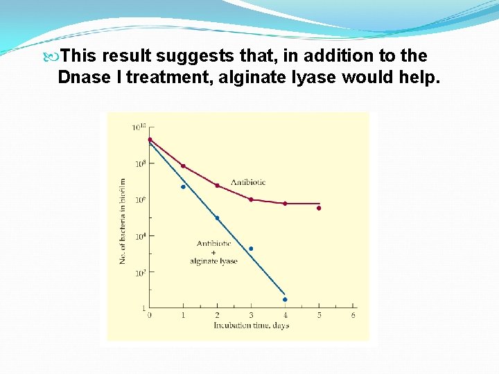  This result suggests that, in addition to the Dnase I treatment, alginate lyase