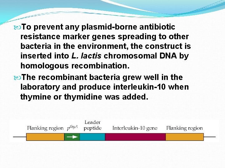  To prevent any plasmid-borne antibiotic resistance marker genes spreading to other bacteria in