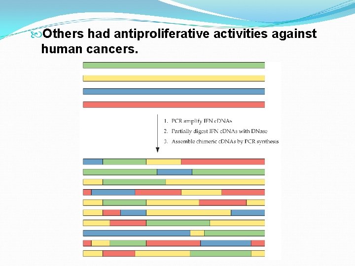  Others had antiproliferative activities against human cancers. 
