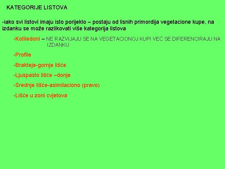 KATEGORIJE LISTOVA -iako svi listovi imaju isto porijeklo – postaju od lisnih primordija vegetacione