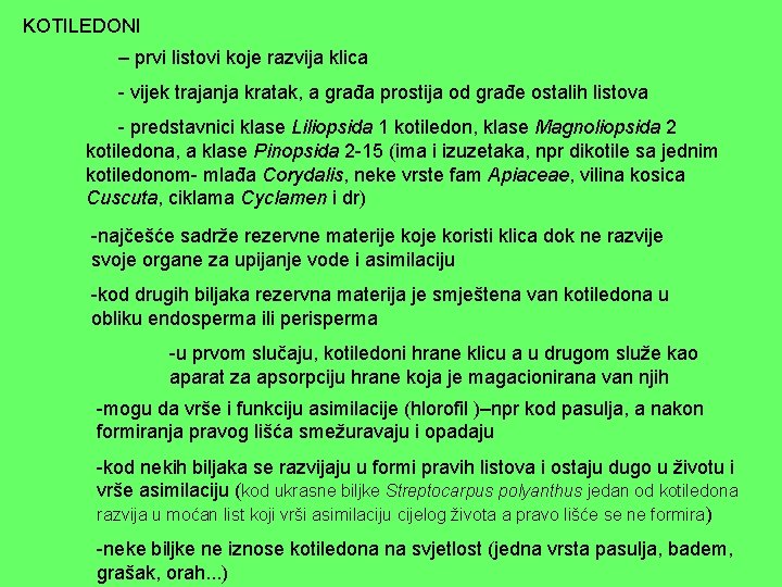 KOTILEDONI – prvi listovi koje razvija klica - vijek trajanja kratak, a građa prostija KOTILEDONI – prvi listovi koje razvija klica - vijek trajanja kratak, a građa prostija