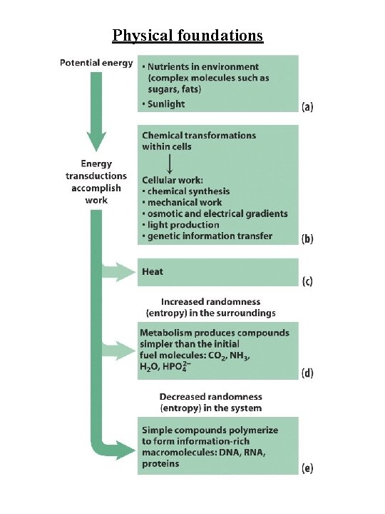 Physical foundations 