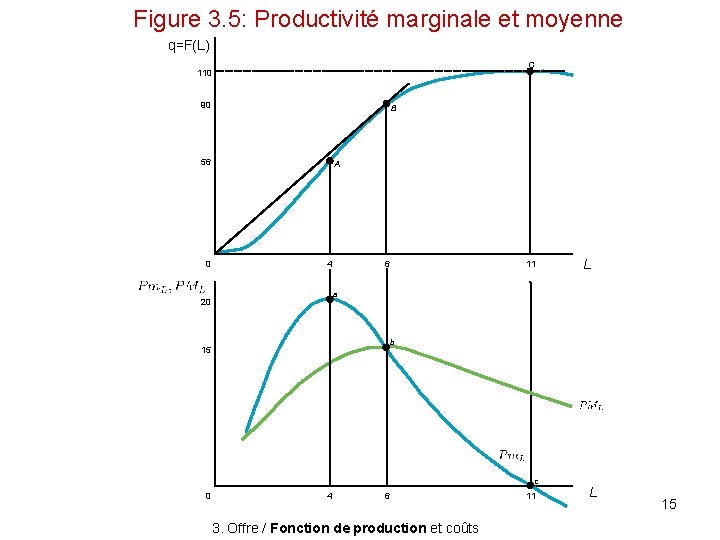 Figure 3. 5: Productivité marginale et moyenne q=F(L) C 110 90 B 56 0