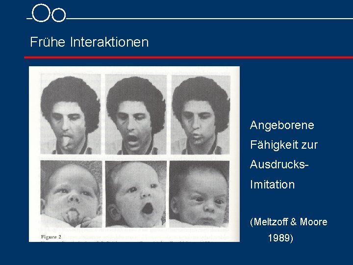 Frühe Interaktionen Angeborene Fähigkeit zur Ausdrucks Imitation (Meltzoff & Moore 1989) 