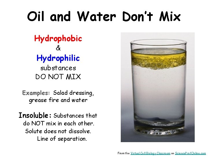 Oil and Water Don’t Mix Hydrophobic & Hydrophilic substances DO NOT MIX Examples: Salad