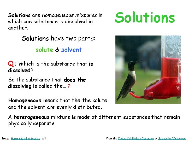 Solutions are homogeneous mixtures in which one substance is dissolved in another. Solutions have