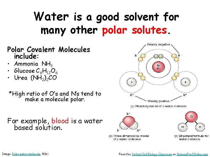 Water is a good solvent for many other polar solutes. Polar Covalent Molecules include: