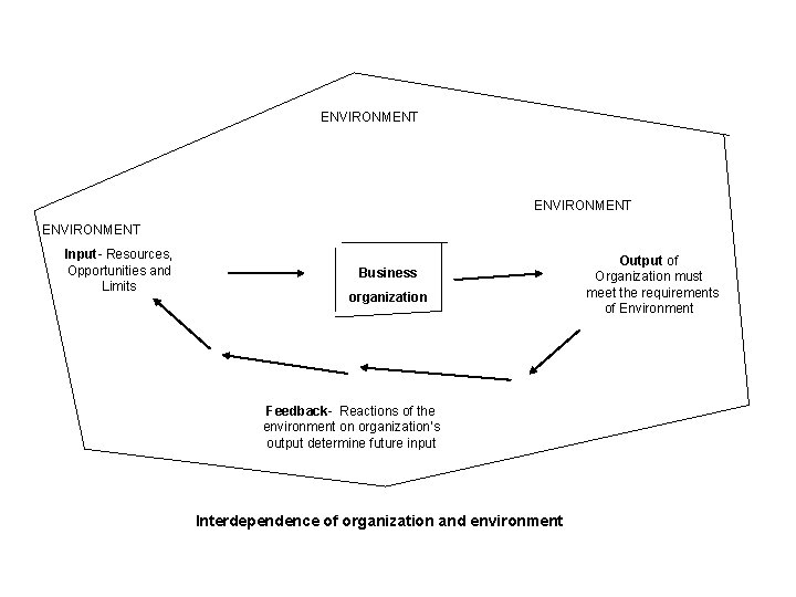 ENVIRONMENT Input- Resources, Opportunities and Limits Business organization Feedback- Reactions of the environment on