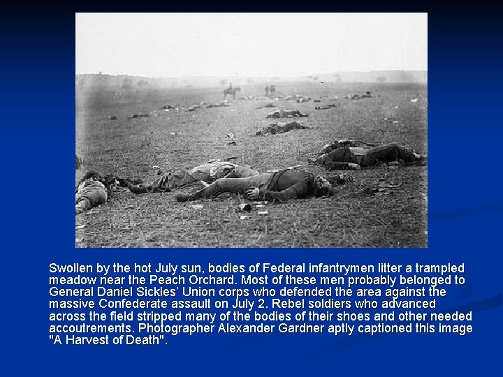 Swollen by the hot July sun, bodies of Federal infantrymen litter a trampled meadow