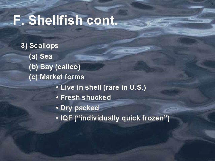 F. Shellfish cont. 3) Scallops (a) Sea (b) Bay (calico) (c) Market forms •