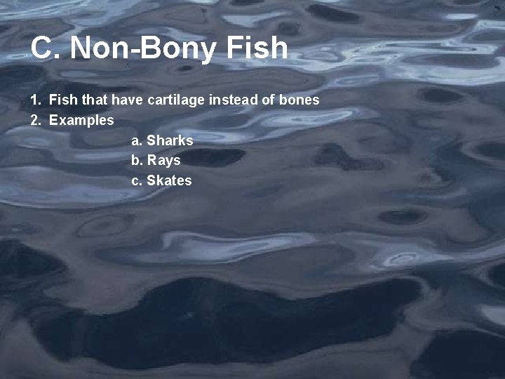C. Non-Bony Fish 1. Fish that have cartilage instead of bones 2. Examples a.