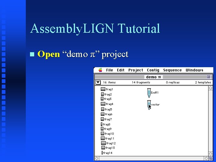 Assembly. LIGN Tutorial Open “demo π” project 
