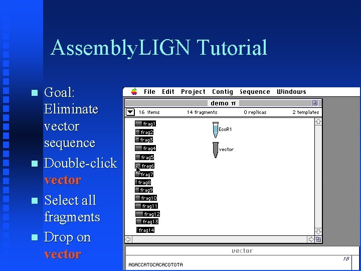 Assembly. LIGN Tutorial Goal: Eliminate vector sequence Double-click vector Select all fragments Drop on