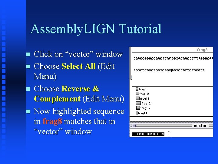 Assembly. LIGN Tutorial Click on “vector” window Choose Select All (Edit Menu) Choose Reverse