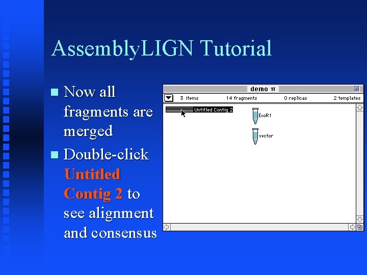 Assembly. LIGN Tutorial Now all fragments are merged Double-click Untitled Contig 2 to see