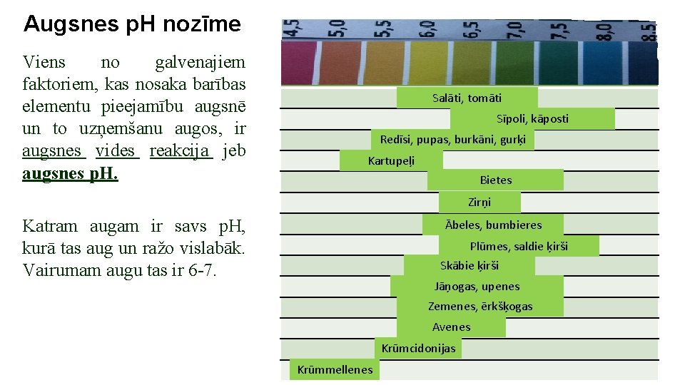 Augsnes p. H nozīme Viens no galvenajiem faktoriem, kas nosaka barības elementu pieejamību augsnē