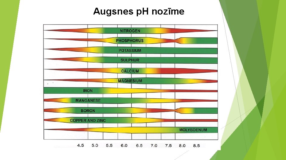 Augsnes p. H nozīme 