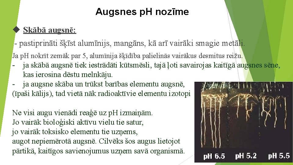 Augsnes p. H nozīme Skābā augsnē: - pastiprināti šķīst alumīnijs, mangāns, kā arī vairāki