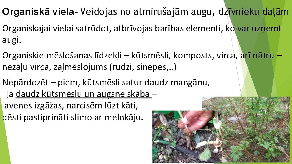 Organiskā viela- Veidojas no atmirušajām augu, dzīvnieku daļām Organiskajai vielai satrūdot, atbrīvojas barības elementi,