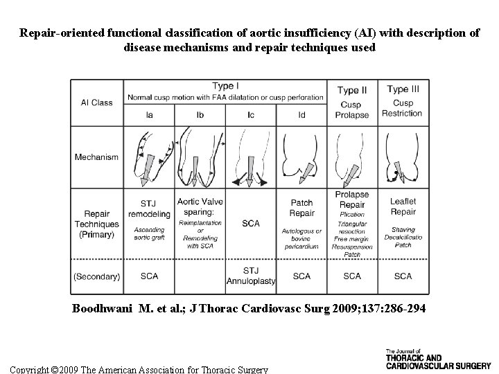 Repair-oriented functional classification of aortic insufficiency (AI) with description of disease mechanisms and repair