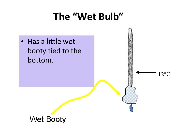 The “Wet Bulb” • Has a little wet booty tied to the bottom. 12°C