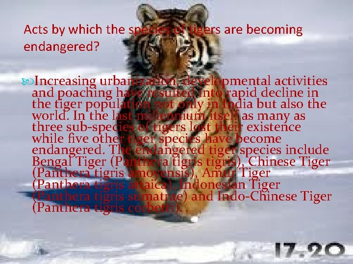 Acts by which the species of tigers are becoming endangered? Increasing urbanization, developmental activities