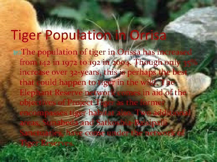 Tiger Population in Orrisa The population of tiger in Orissa has increased from 142