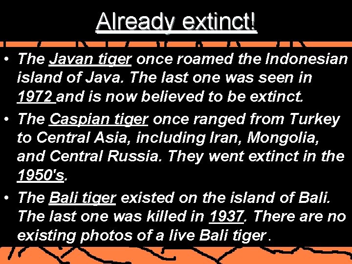 Already extinct! • The Javan tiger once roamed the Indonesian island of Java. The