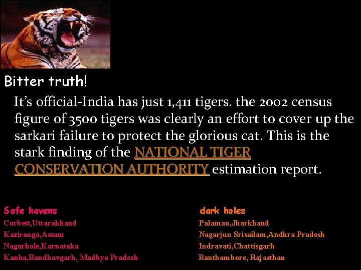 TIGER Fading Fast! Bitter truth! It’s official-India has just 1, 411 tigers. the 2002
