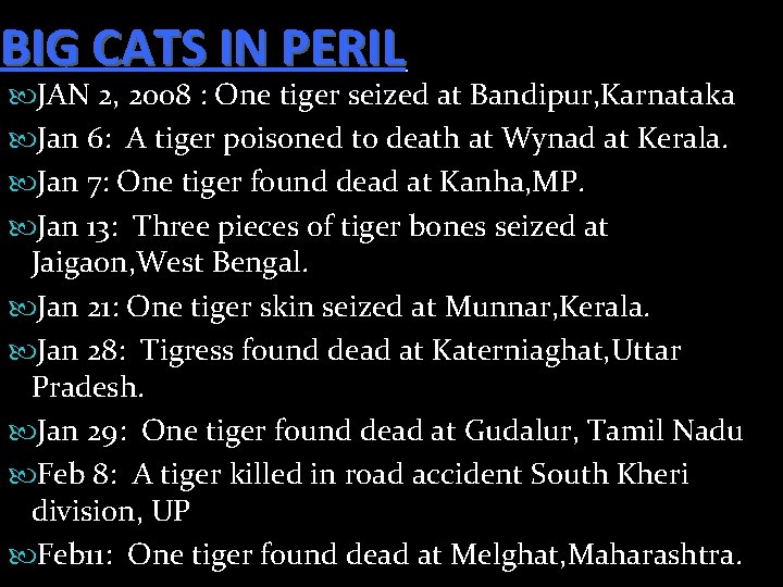 BIG CATS IN PERIL JAN 2, 2008 : One tiger seized at Bandipur, Karnataka