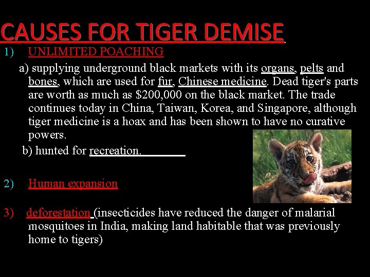 CAUSES FOR TIGER DEMISE 1) UNLIMITED POACHING a) supplying underground black markets with its