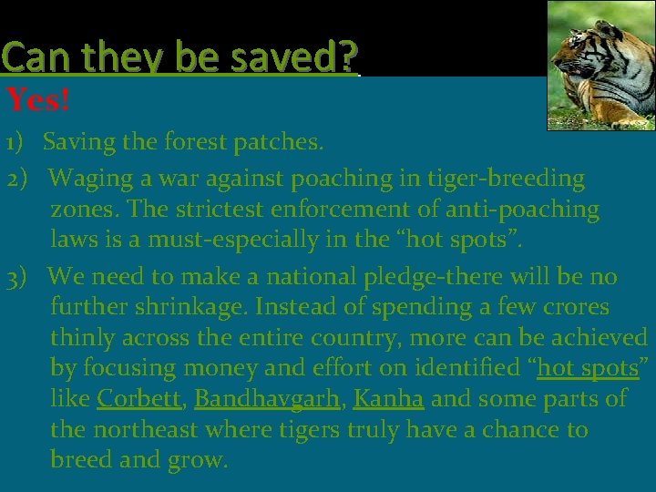 Can they be saved? Yes! 1) Saving the forest patches. 2) Waging a war